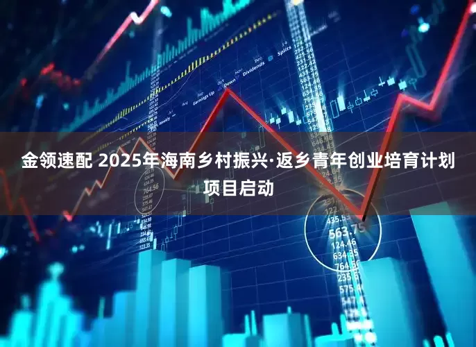 金領(lǐng)速配 2025年海南鄉(xiāng)村振興·返鄉(xiāng)青年創(chuàng)業(yè)培育計劃項目啟動