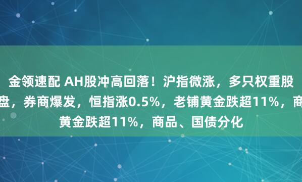 金領(lǐng)速配 AH股沖高回落！滬指微漲，多只權(quán)重股尾盤(pán)競(jìng)價(jià)遭拋盤(pán)，券商爆發(fā)，恒指漲0.5%，老鋪黃金跌超11%，商品、國(guó)債分化